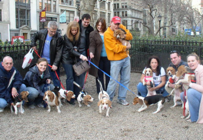 New York City Beagle Meet "2006"